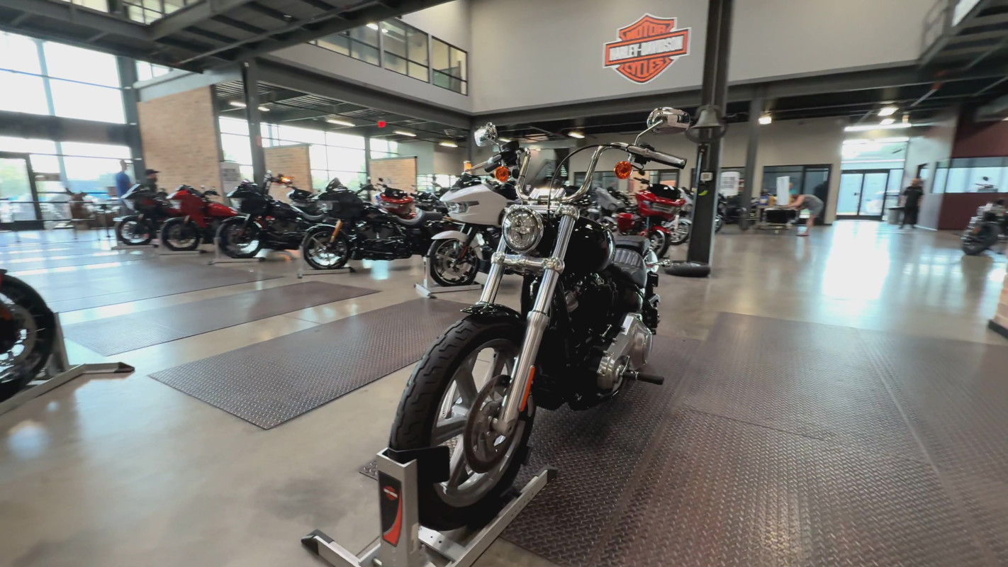 Softail® Standard