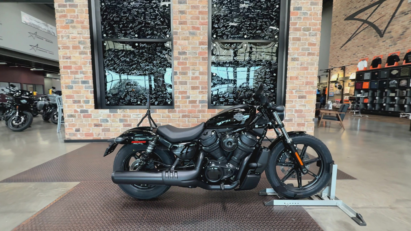 Nightster