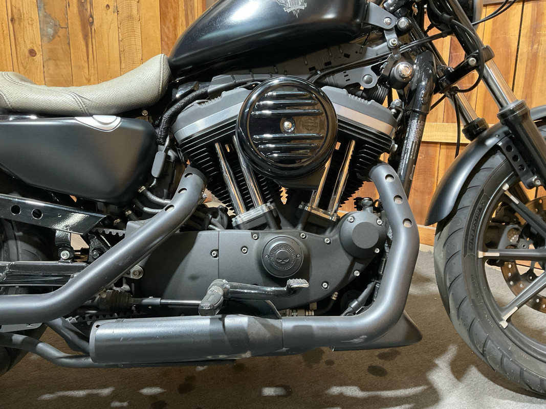 Sportster® Iron 883®