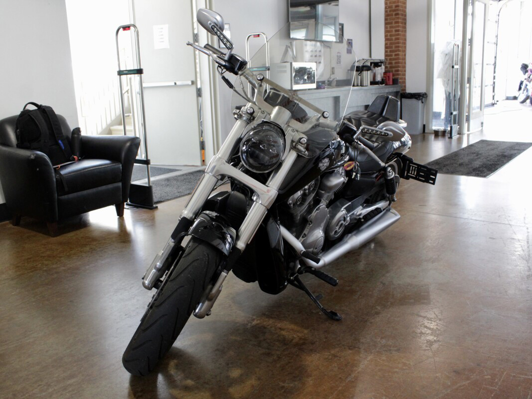 V-Rod® Muscle