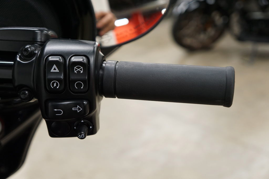 Street Glide® Special