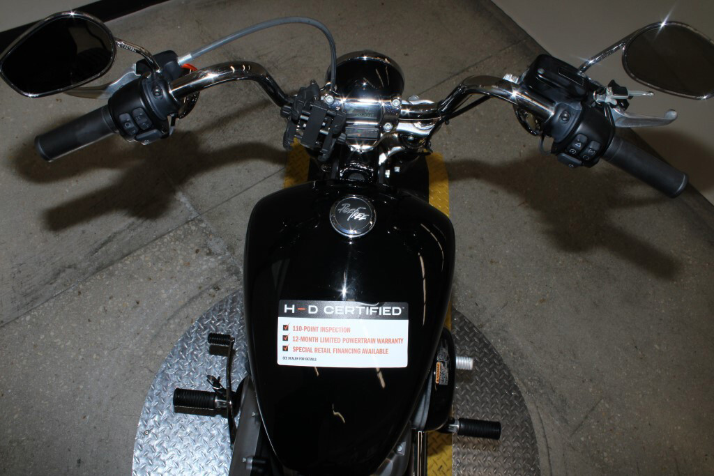 Softail® Standard