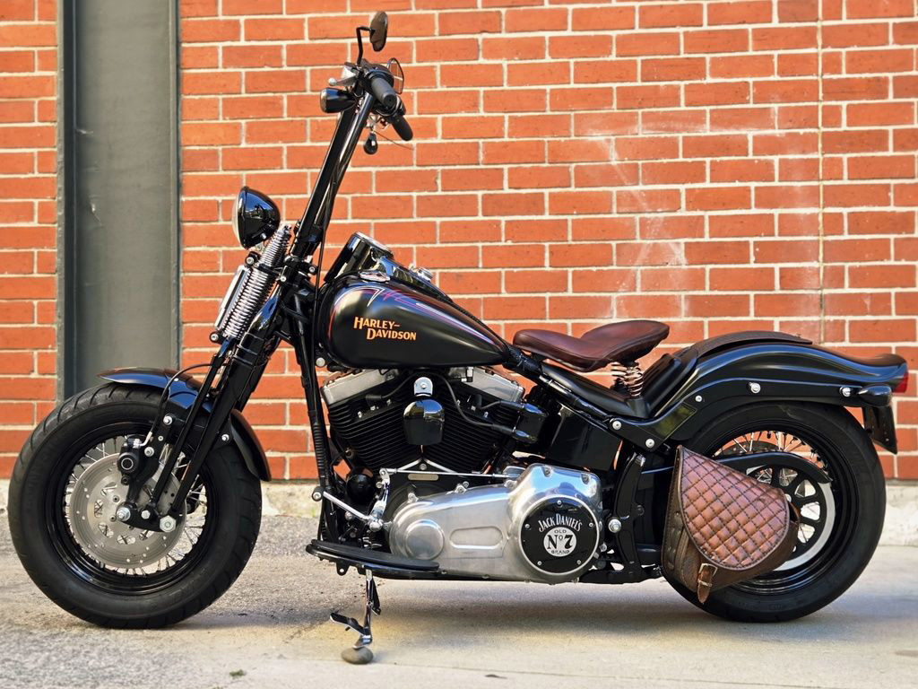 Softail® Cross Bones®