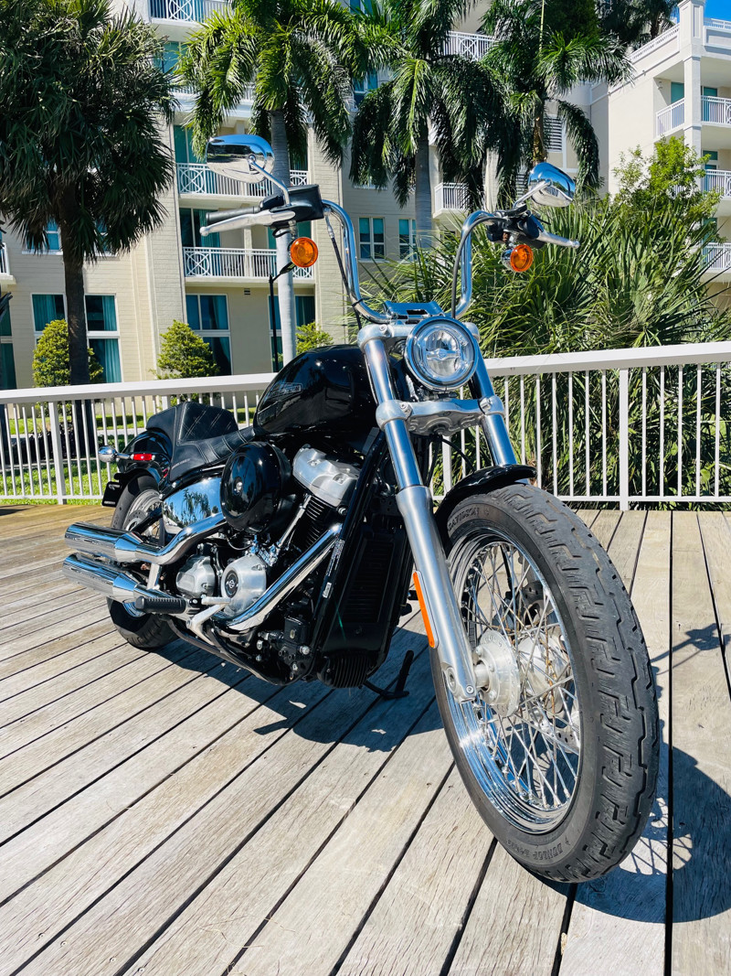 Softail® Standard