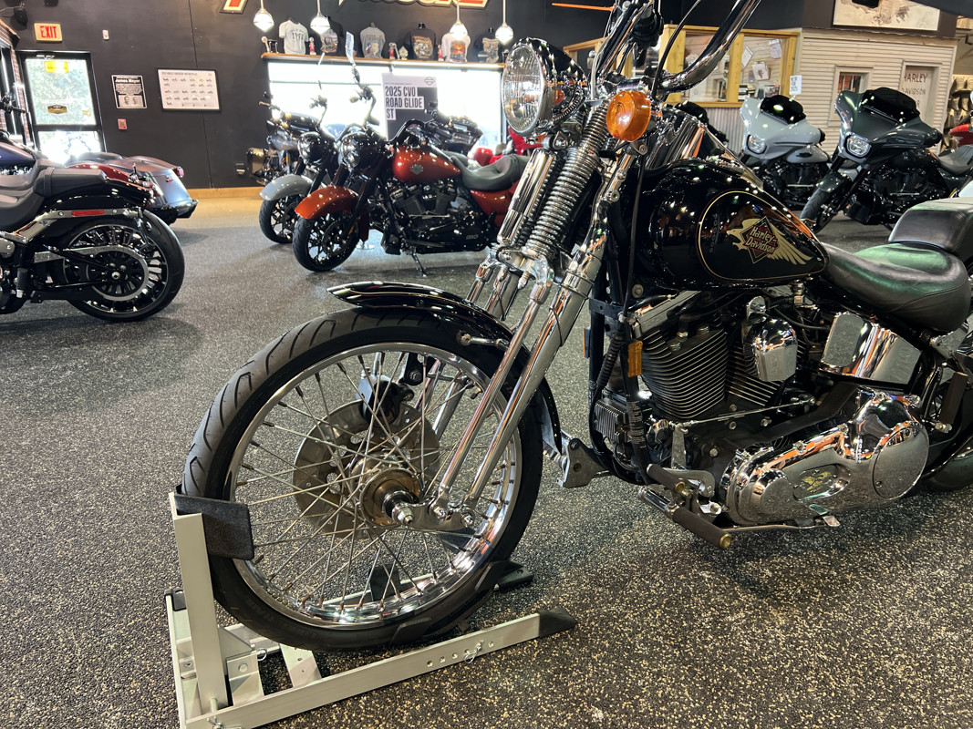Springer® Softail®