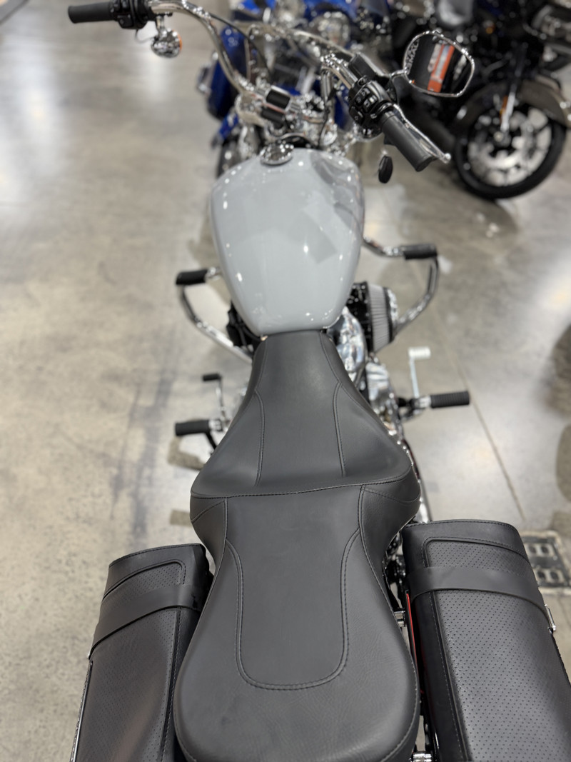 Softail® Standard