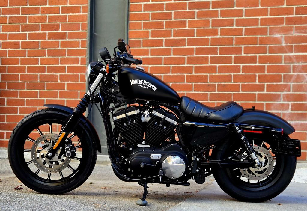 Sportster® Iron 883®