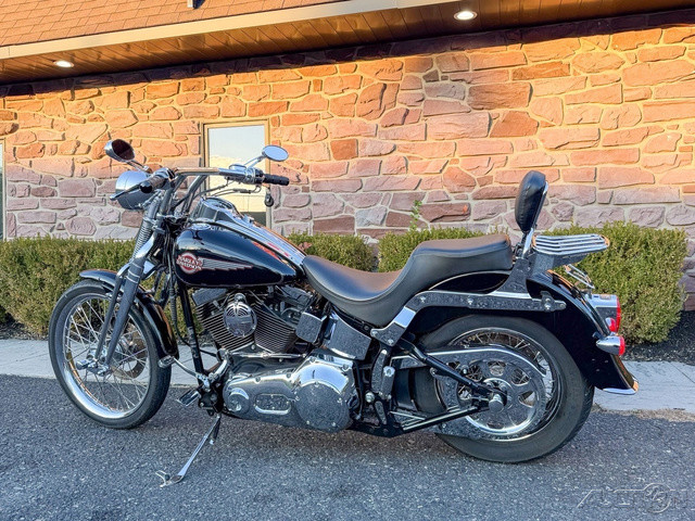 Springer® Softail®