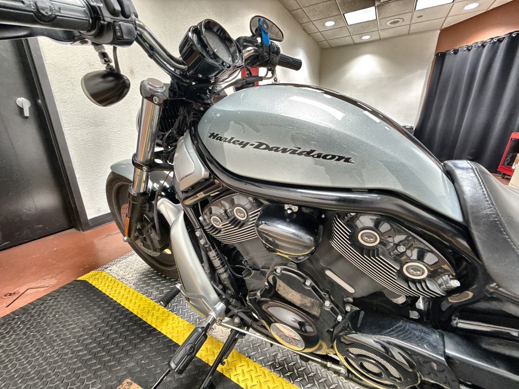 Night Rod® Special