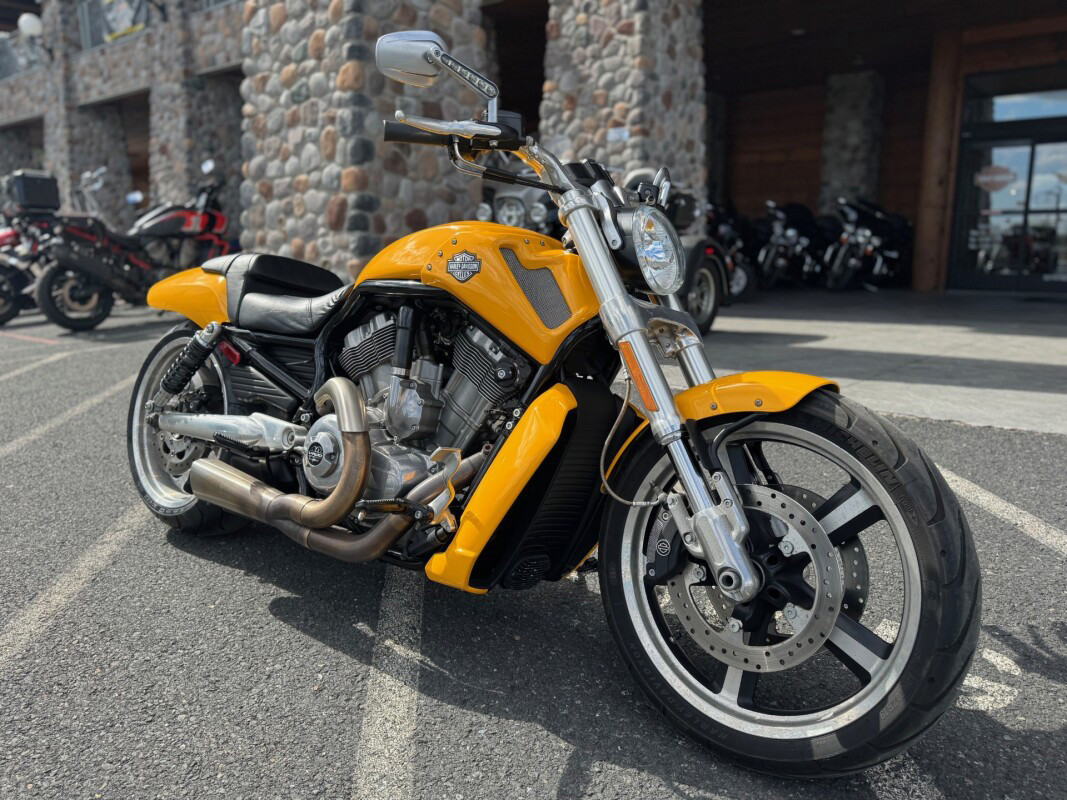 V-Rod® Muscle®