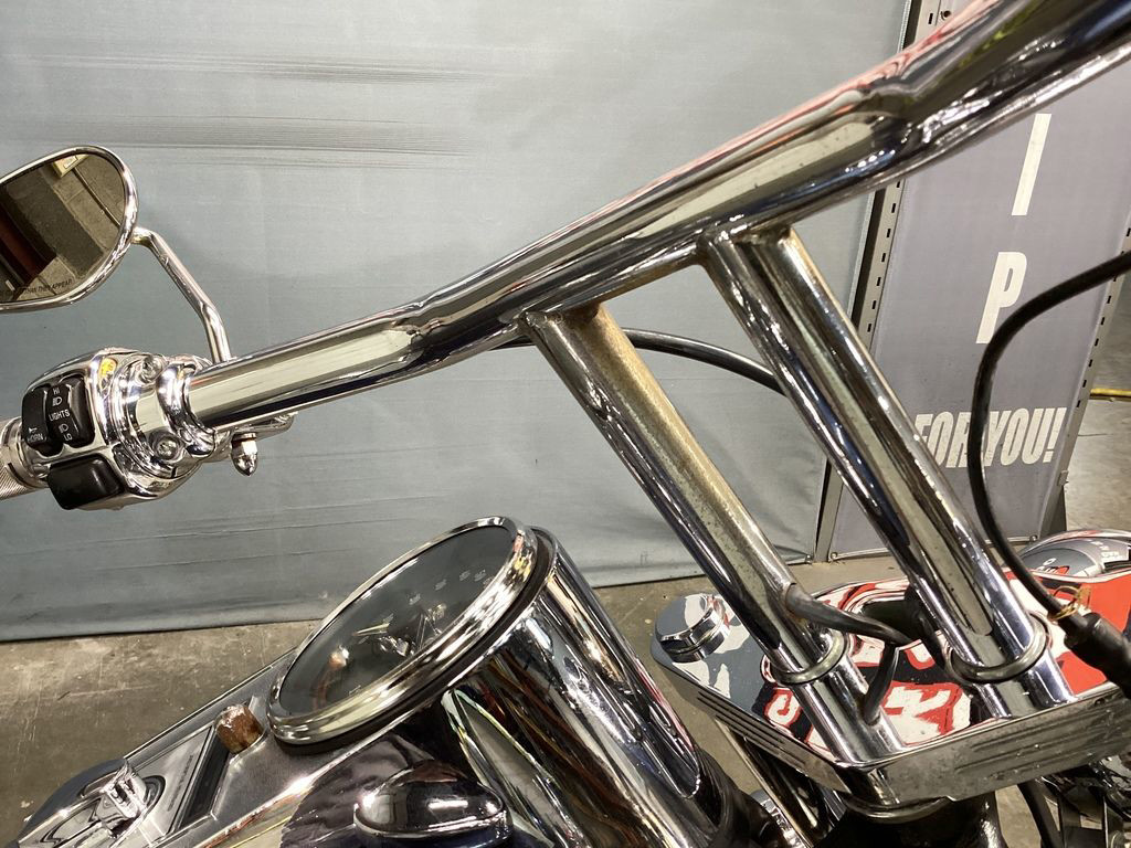 Softail® Standard