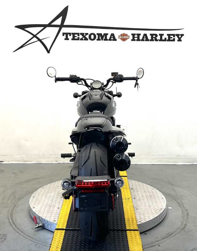 Sportster® S