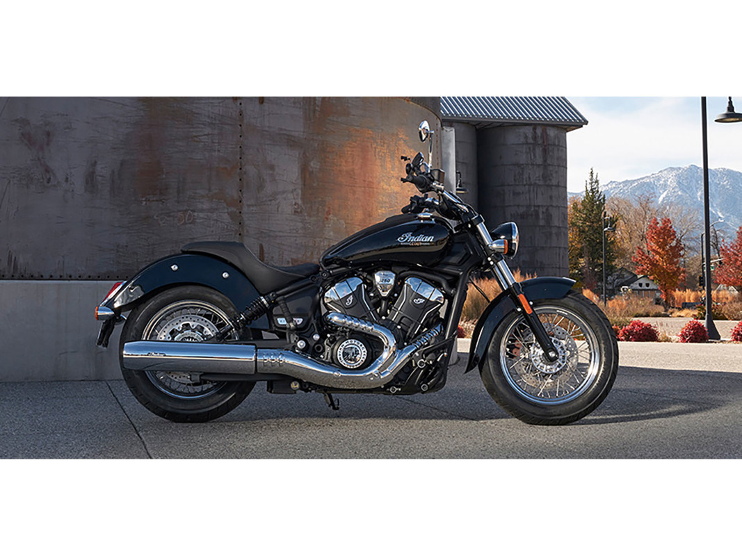 Scout Classic Limited