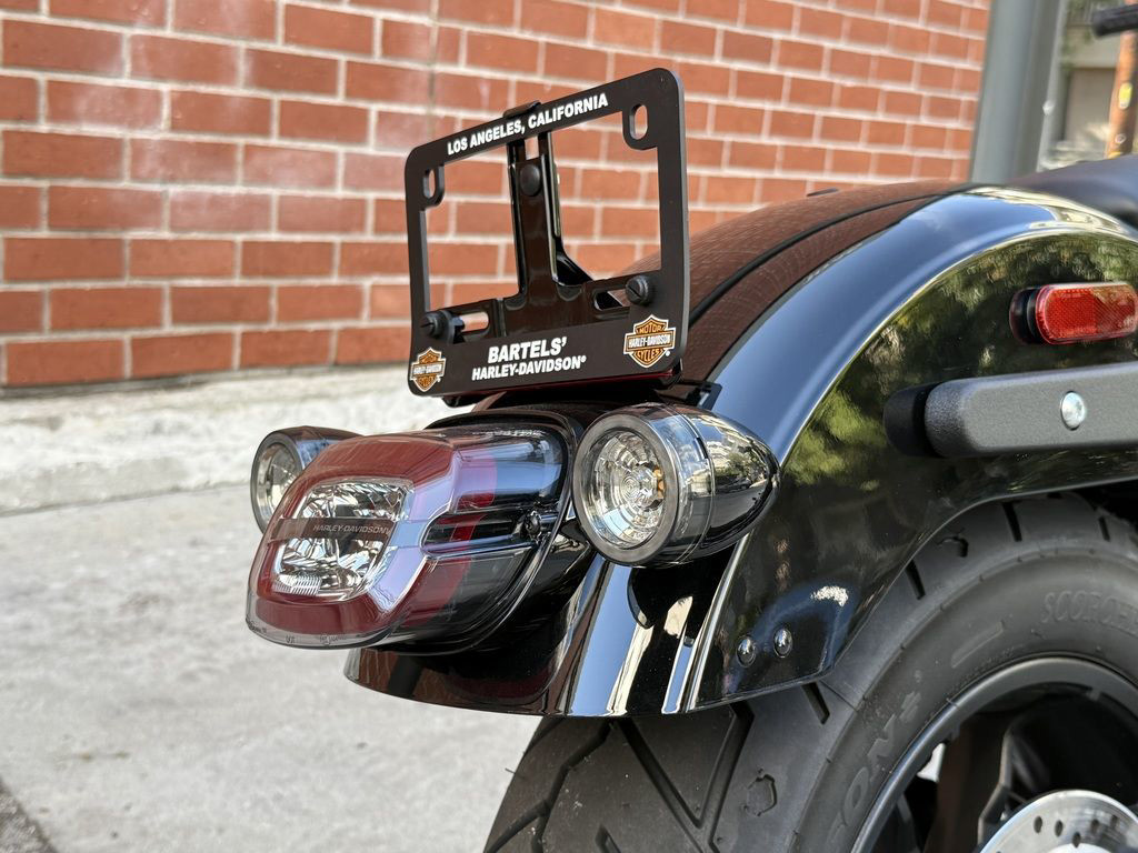 Low Rider® S
