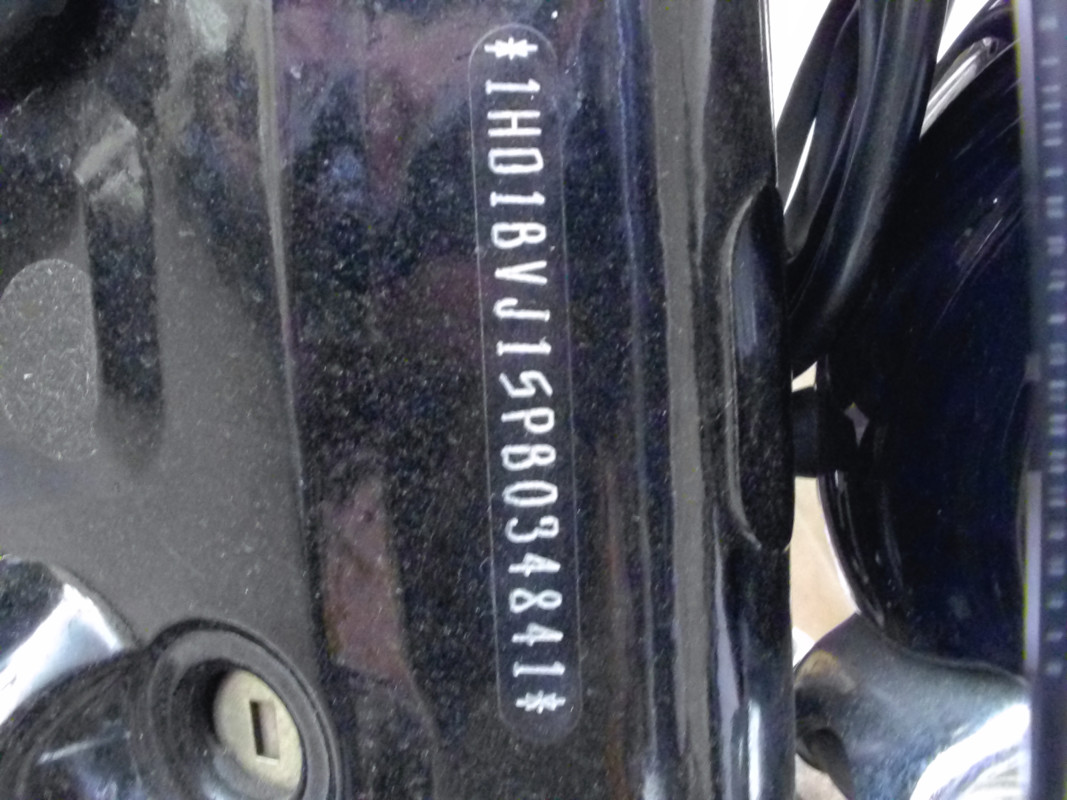Softail® Standard