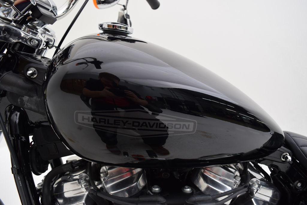 Softail® Standard