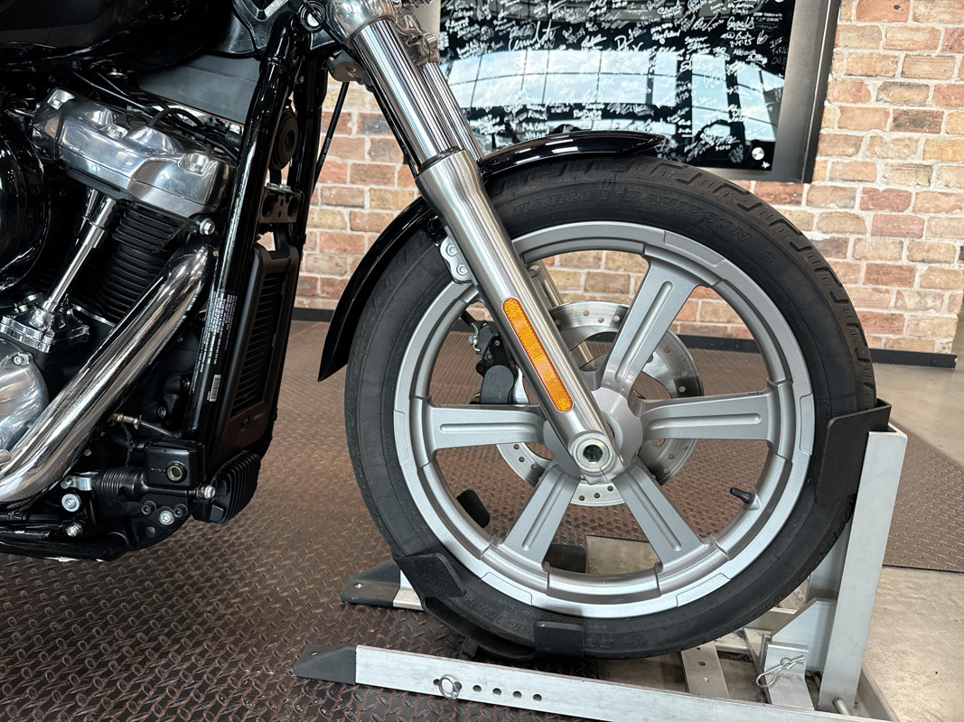 Softail® Standard