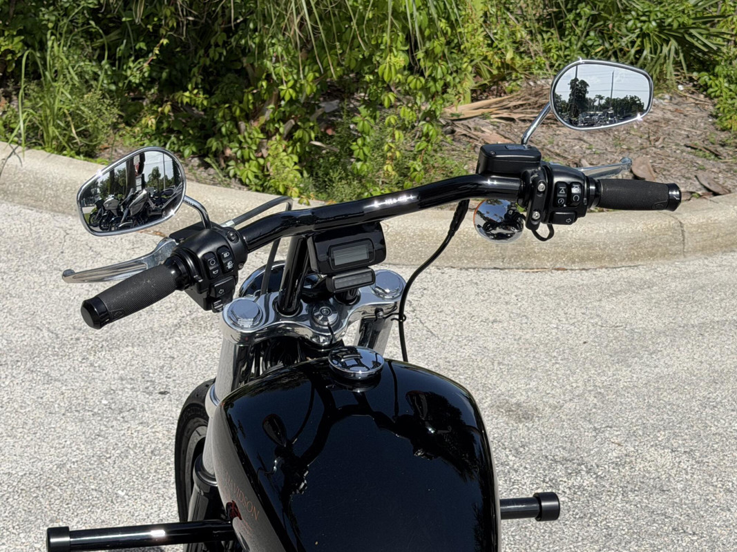 Softail® Standard
