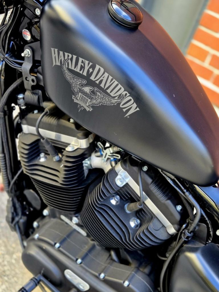 Sportster® Iron 883®