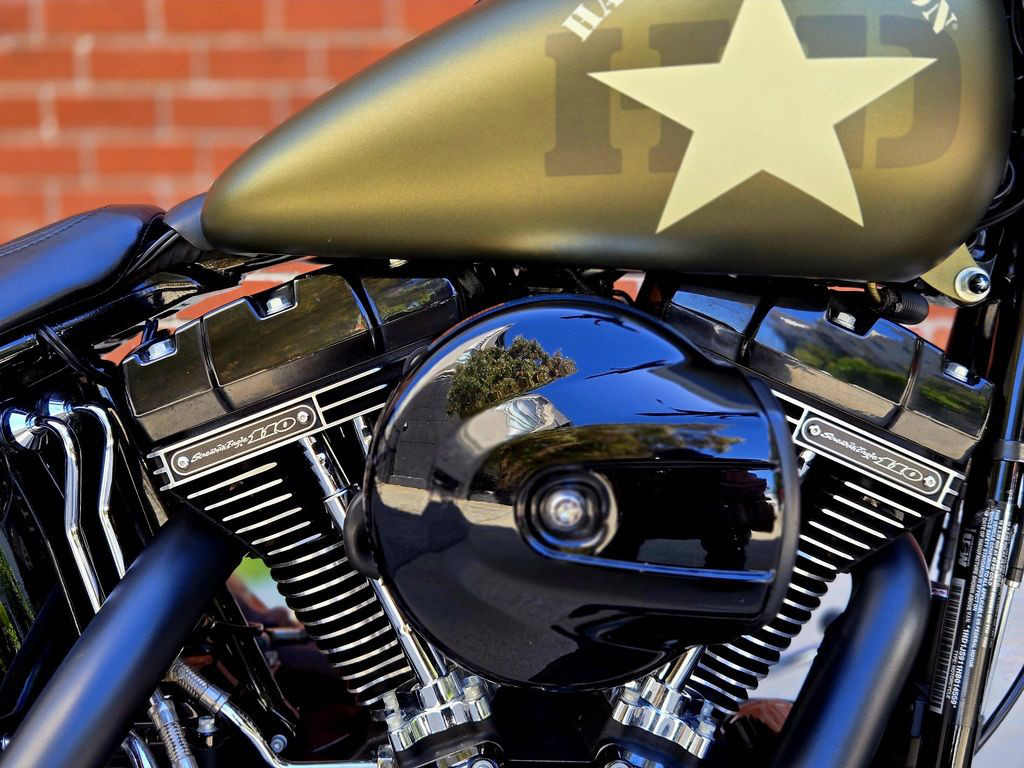 Softail® Slim® S
