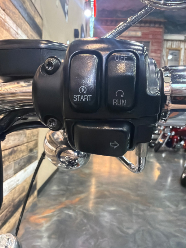 Sportster® 1200 Custom - H-D1 Factory Custom
