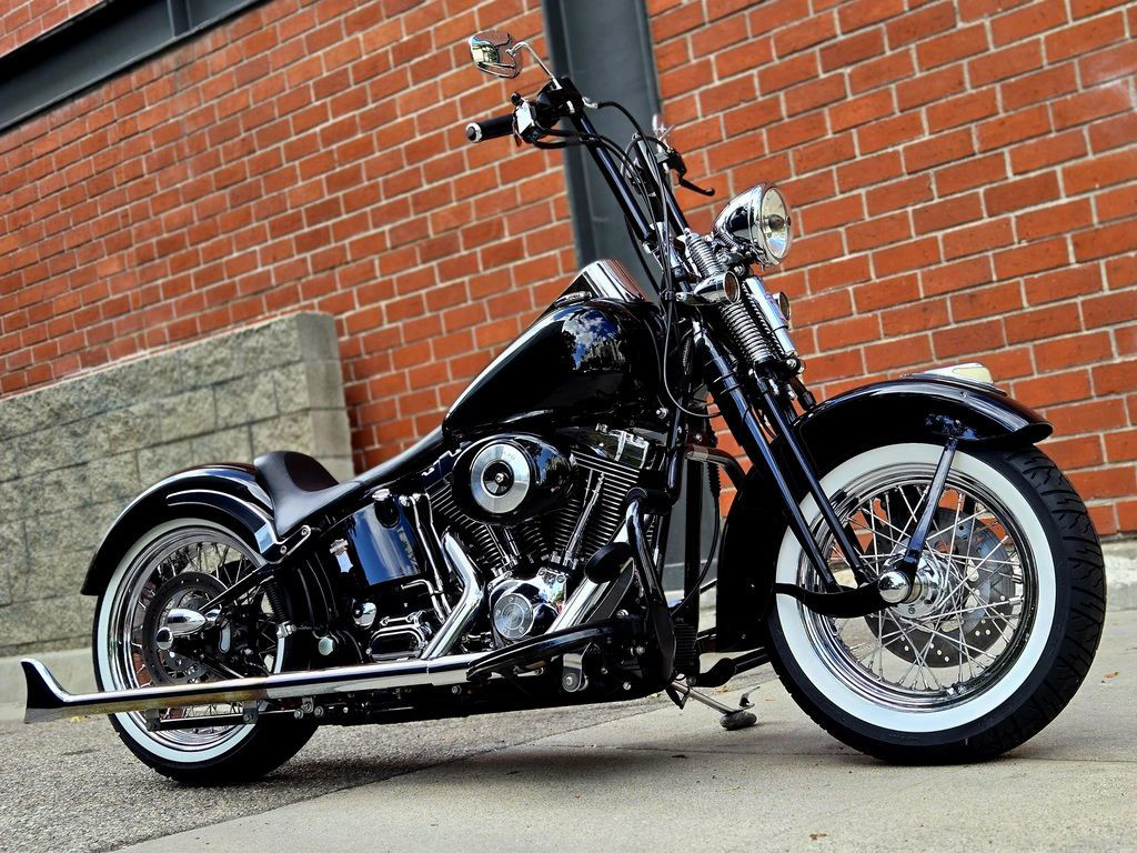 Softail® Springer® Classic