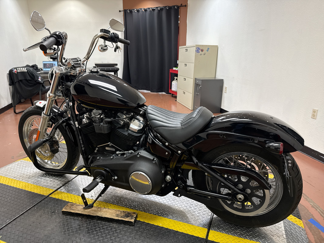 Softail® Standard