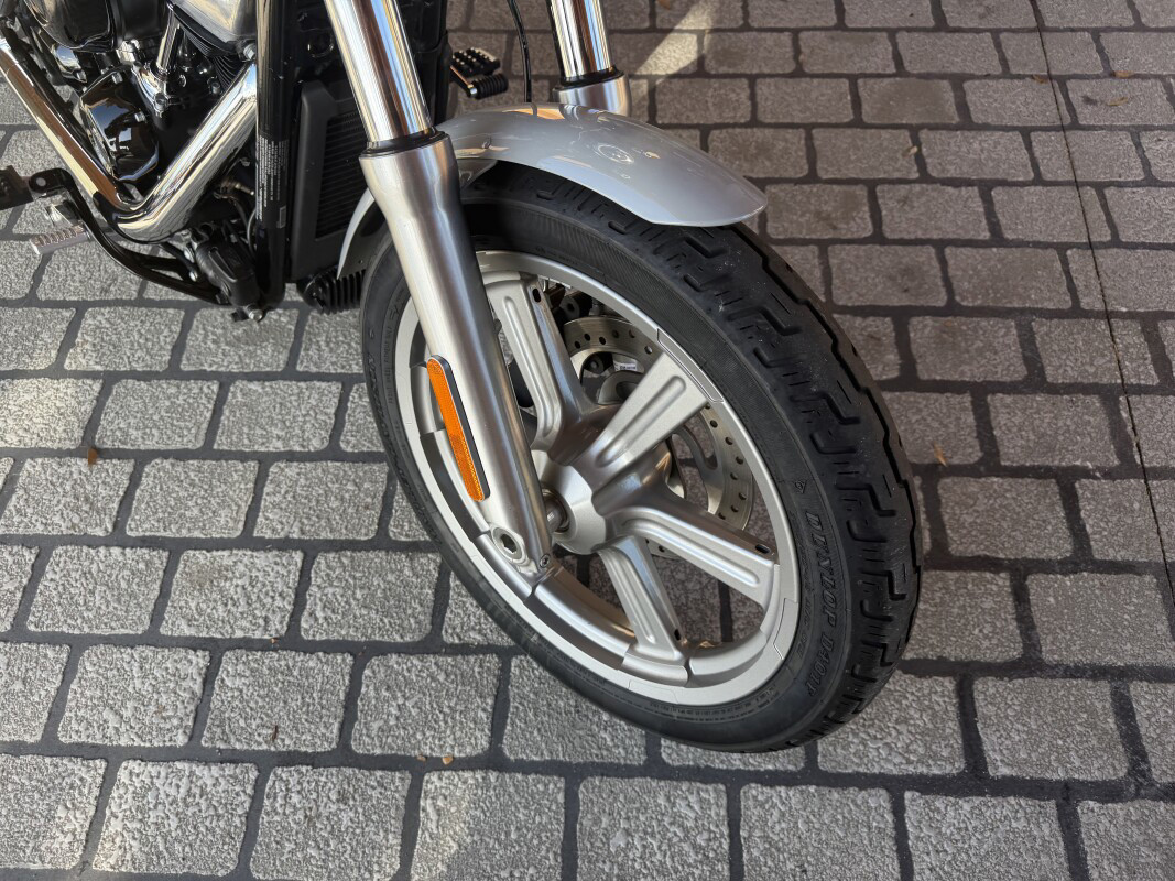 Softail® Standard