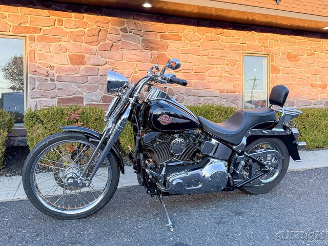 Springer® Softail®