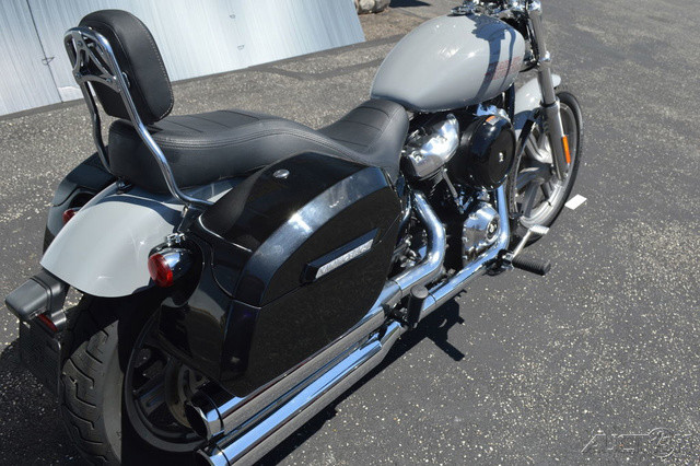 Softail® Standard