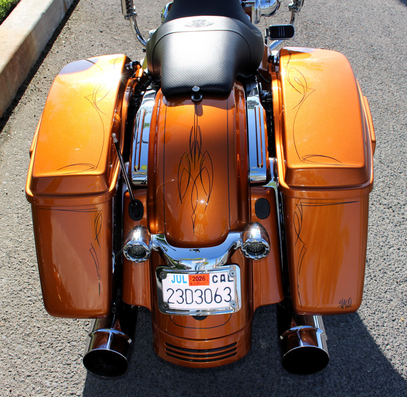 Street Glide® Special