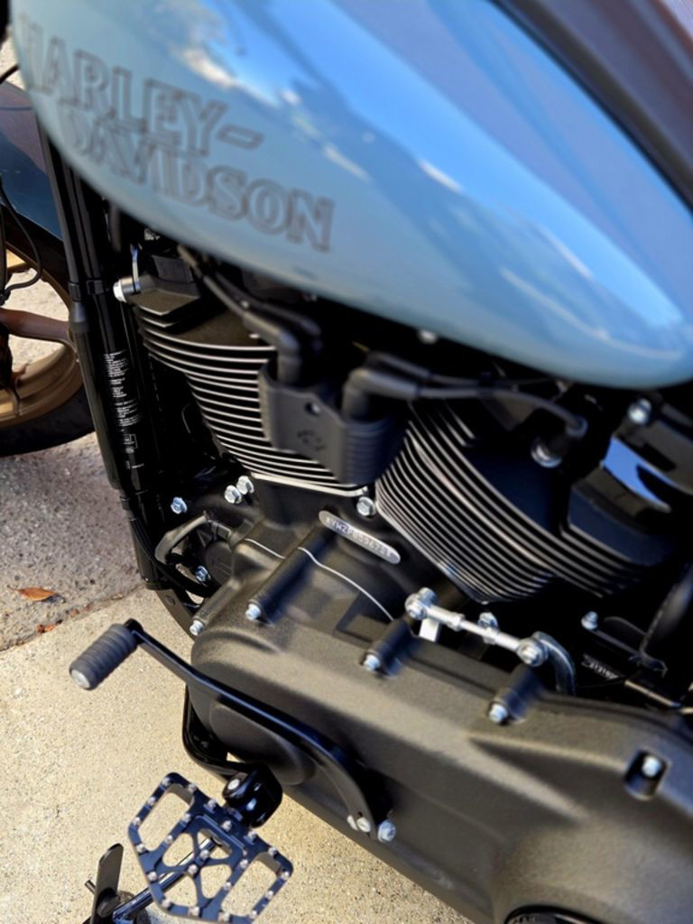 Low Rider® S