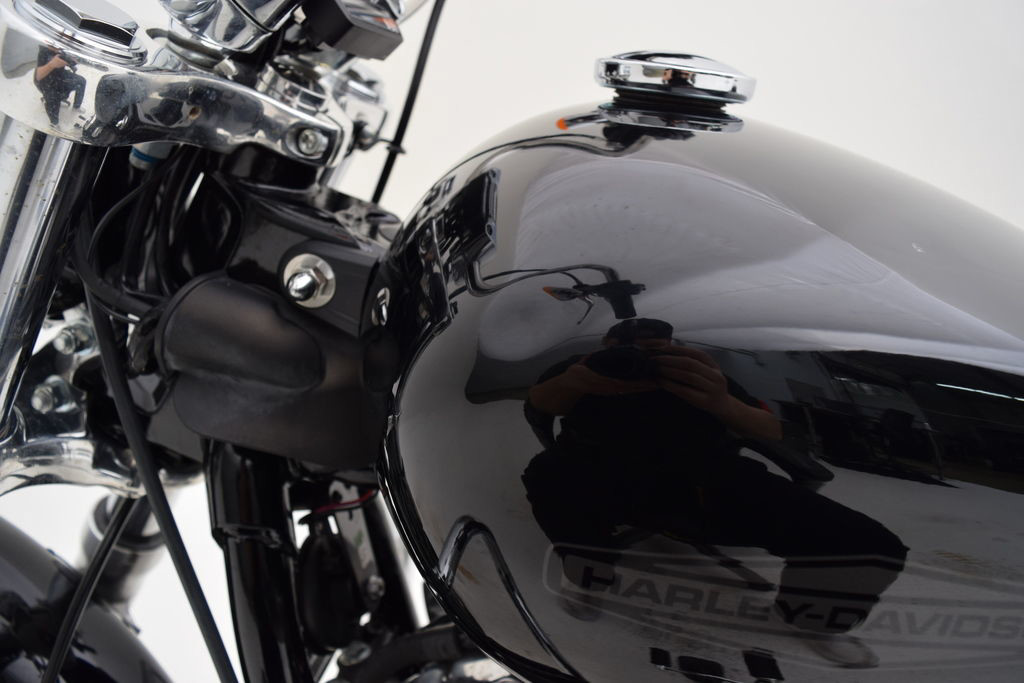 Softail® Standard