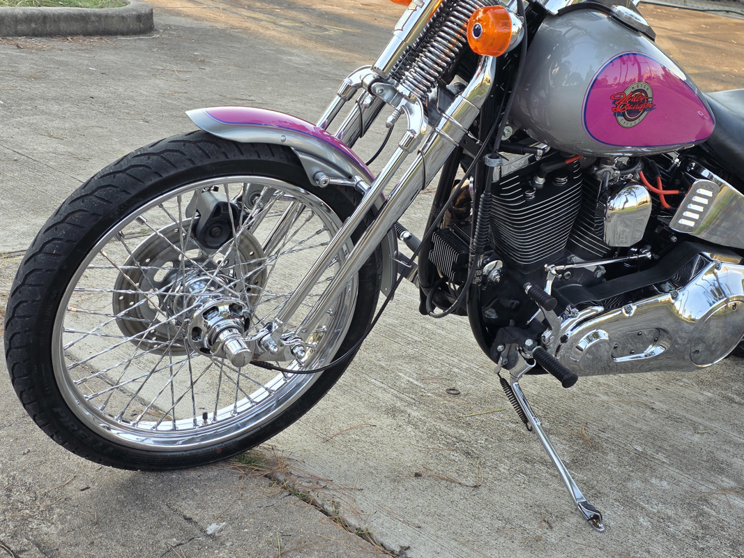 Springer® Softail®