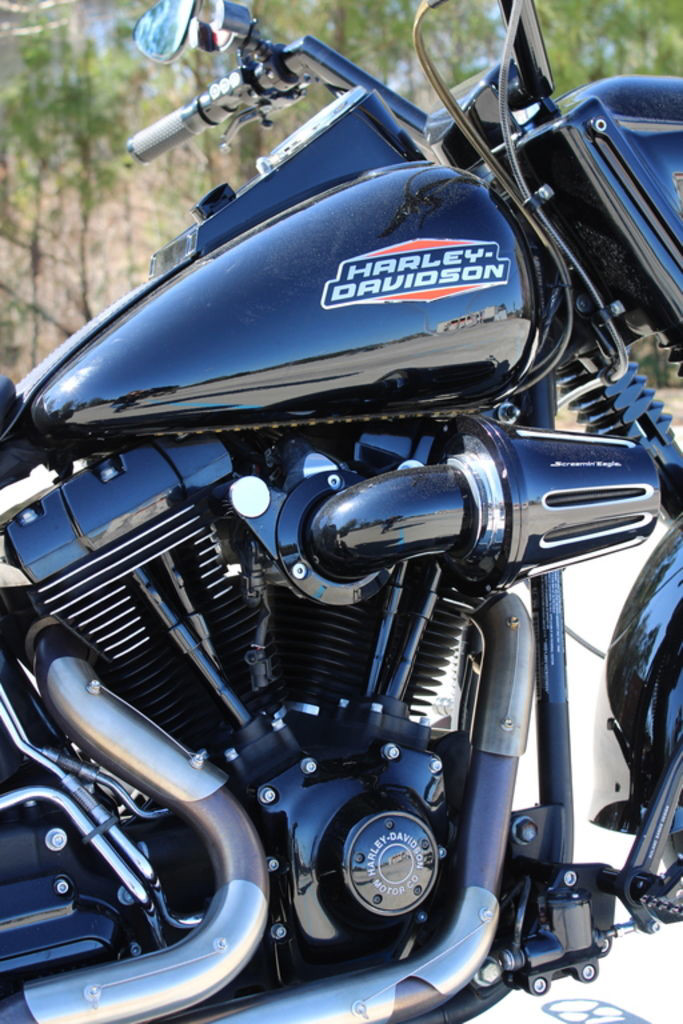 Softail® Fat Boy® Lo