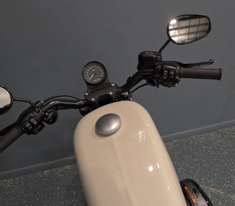 Iron 883®