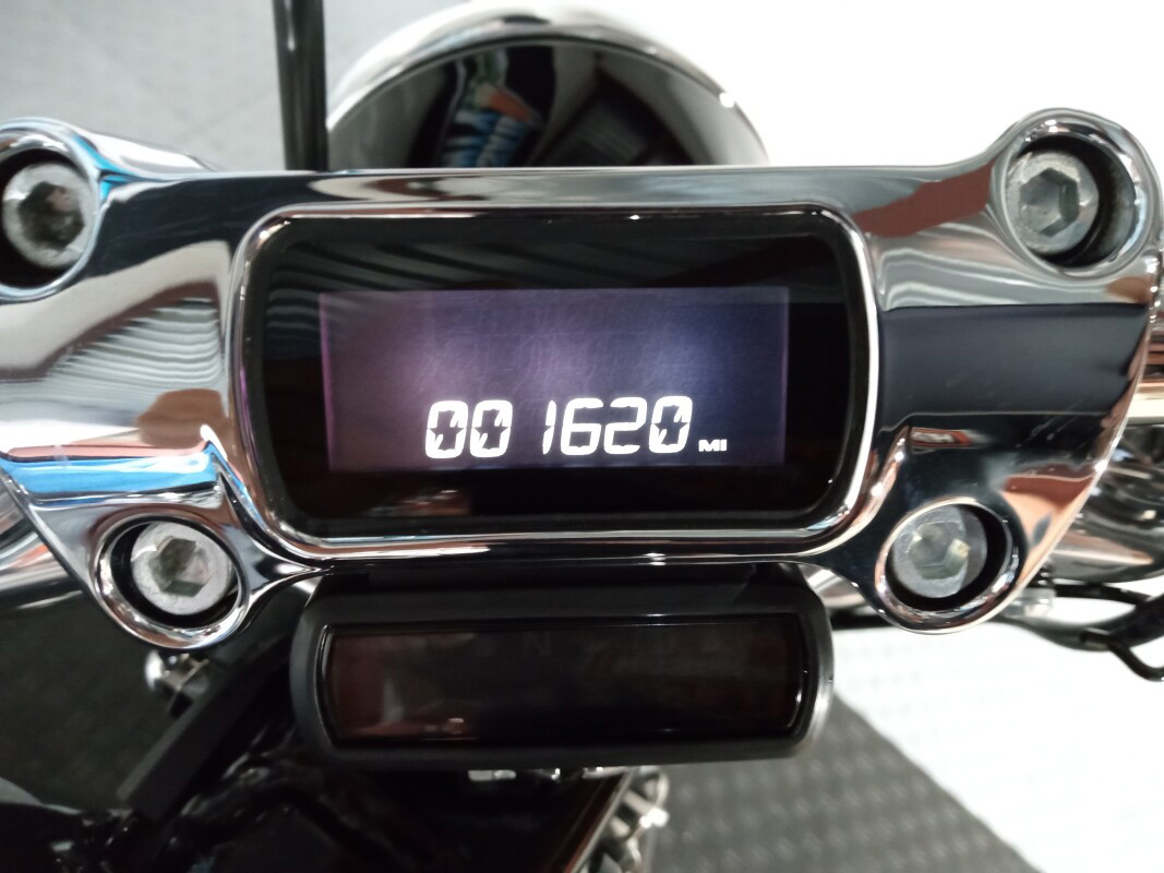 Softail® Standard