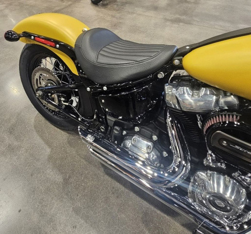 Softail® Slim®
