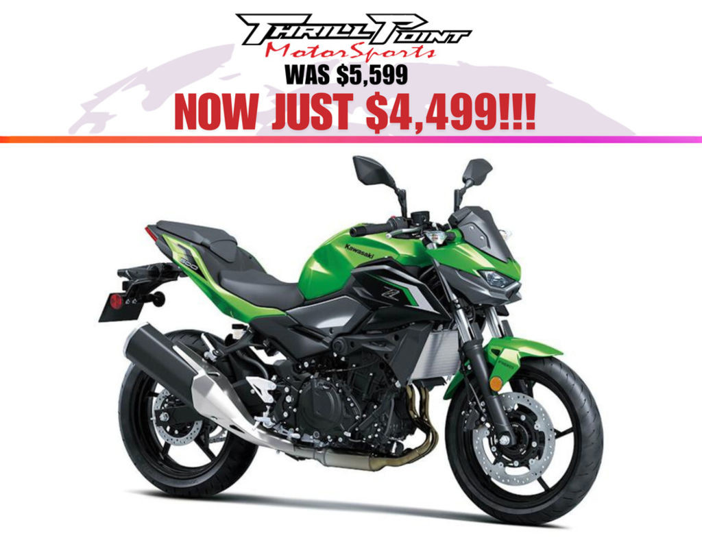 Z500 ABS