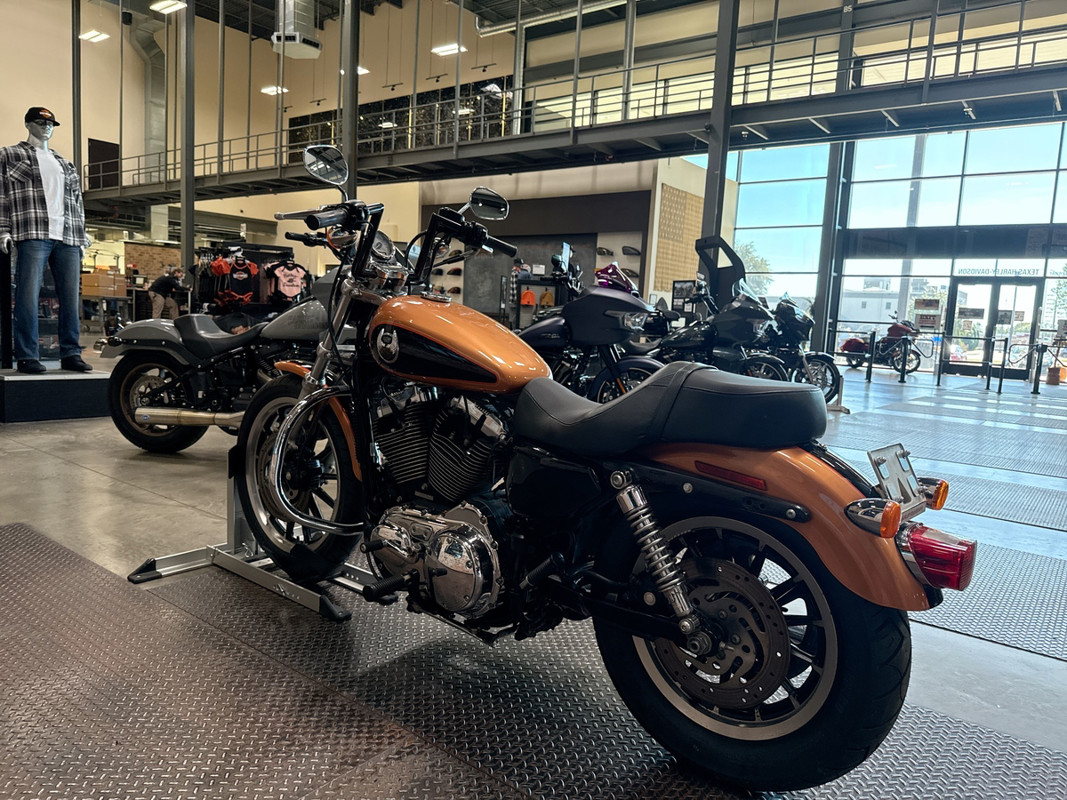 Sportster® 1200 Low Anniversary