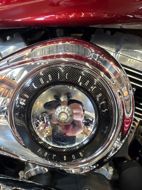 Dyna® Fat Bob®
