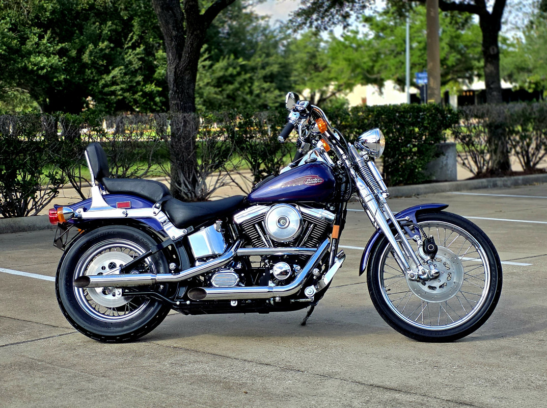 Springer® Softail®