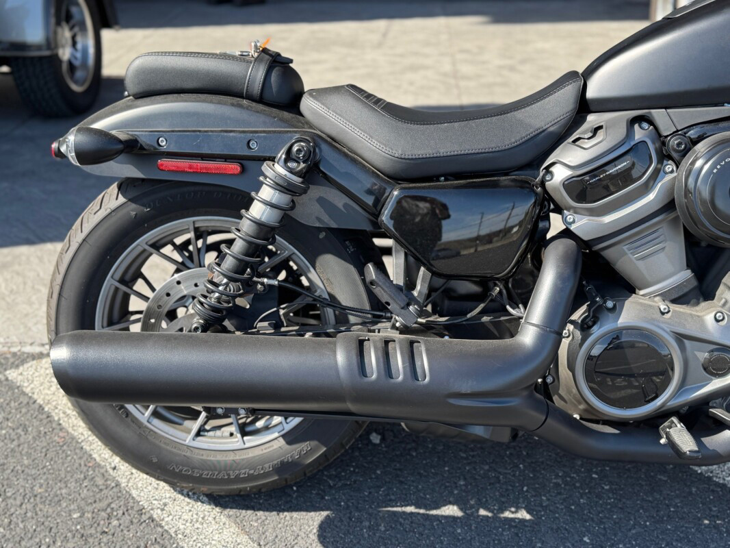 Nightster Special