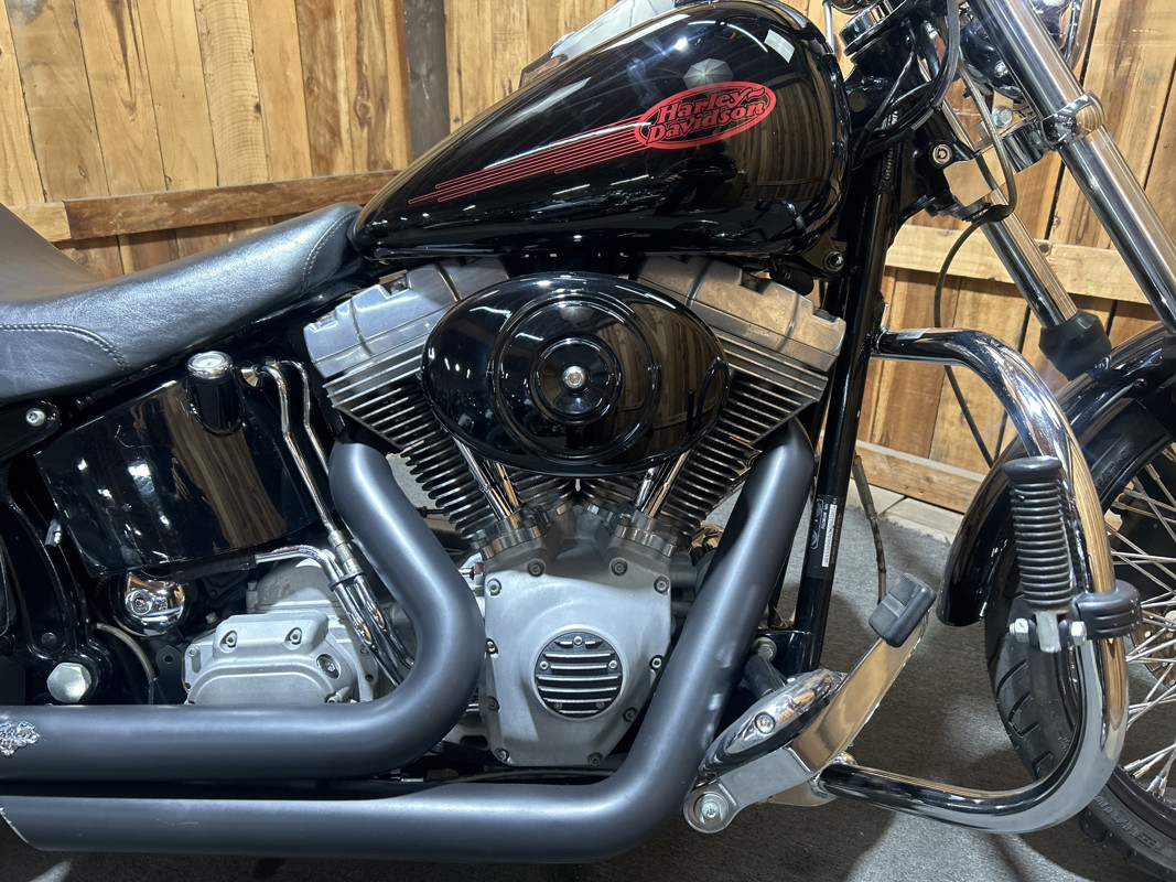 Softail® Standard