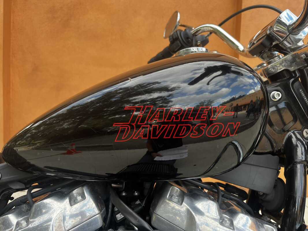Softail® Standard
