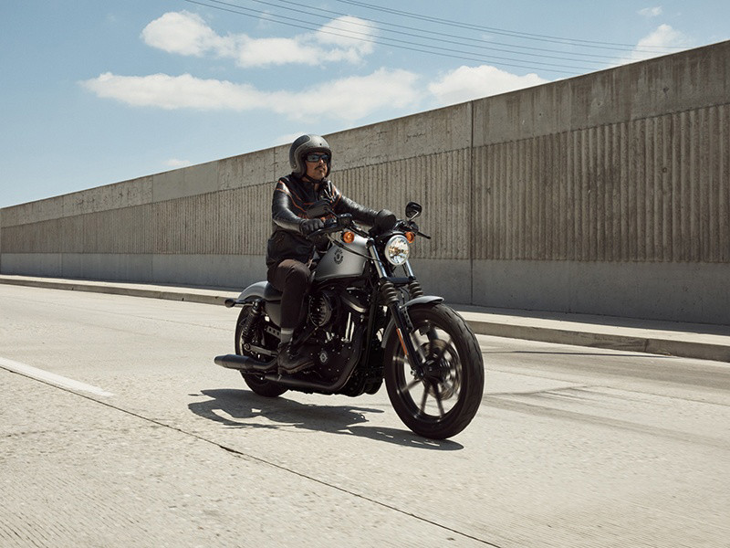 Iron 883®