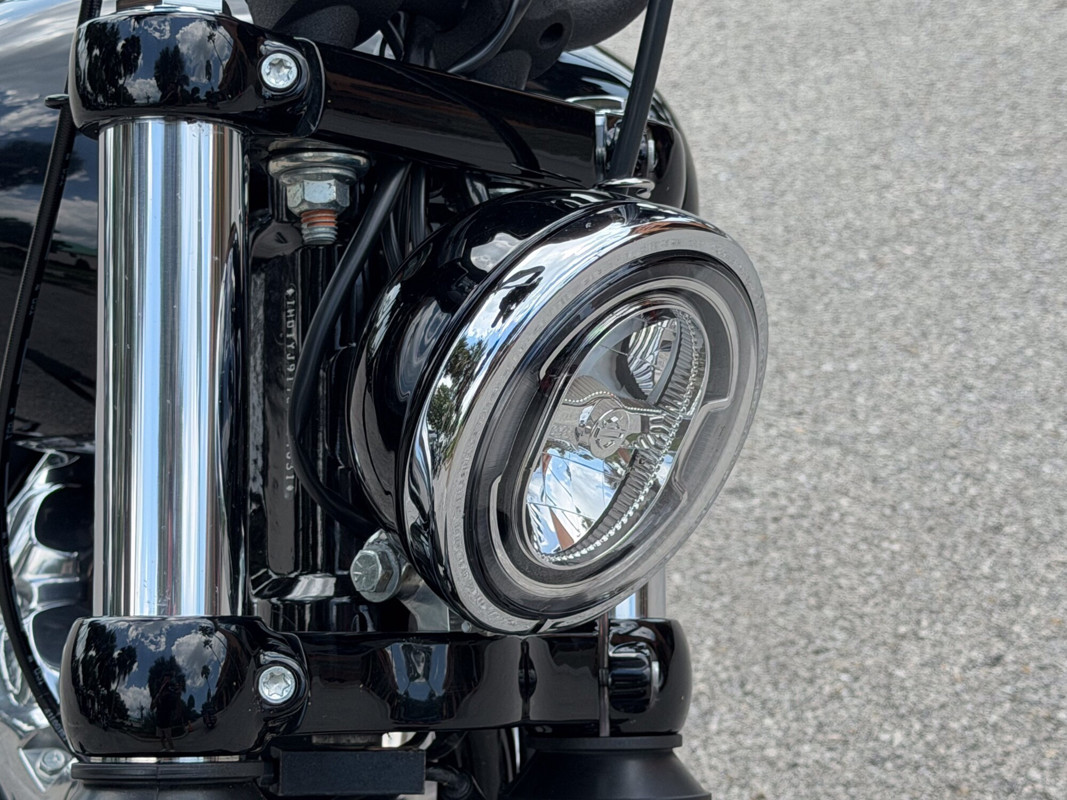 Street Bob®