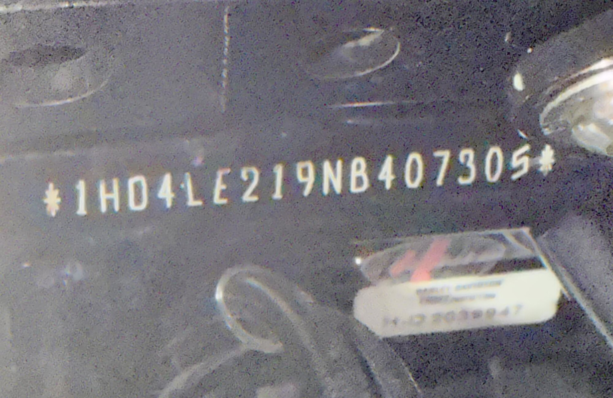 Iron 883®