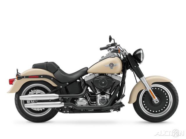 Softail® Fat Boy® Lo