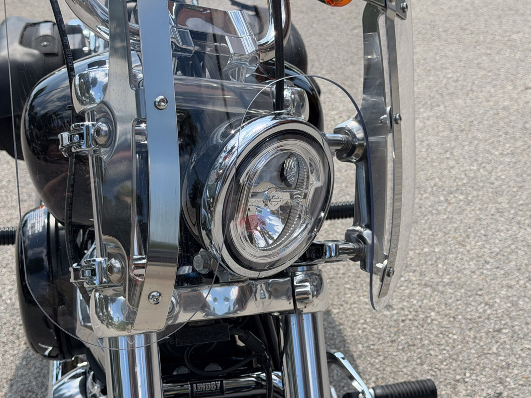Softail® Standard